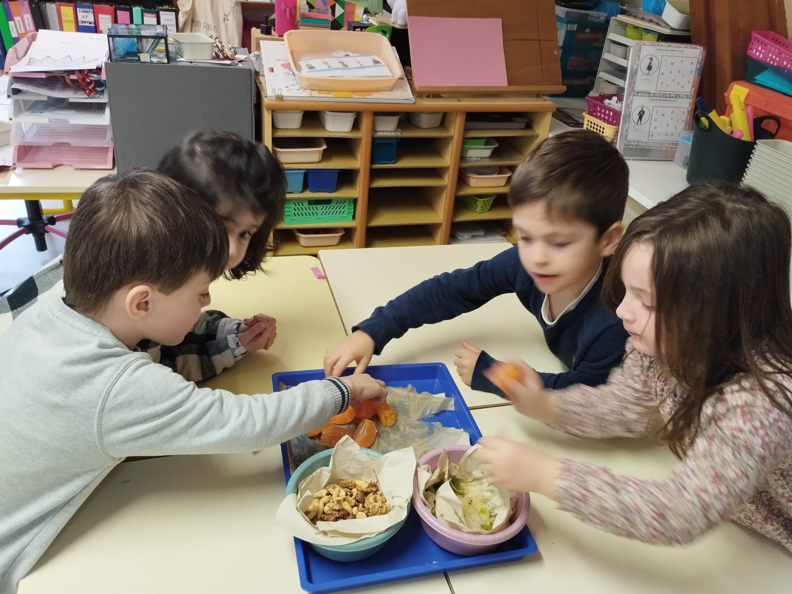 IMG 20240209 104517 scaled