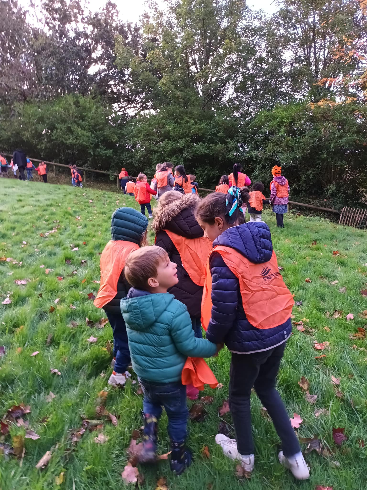 464194215 992608749547975 6023867300121613306 n