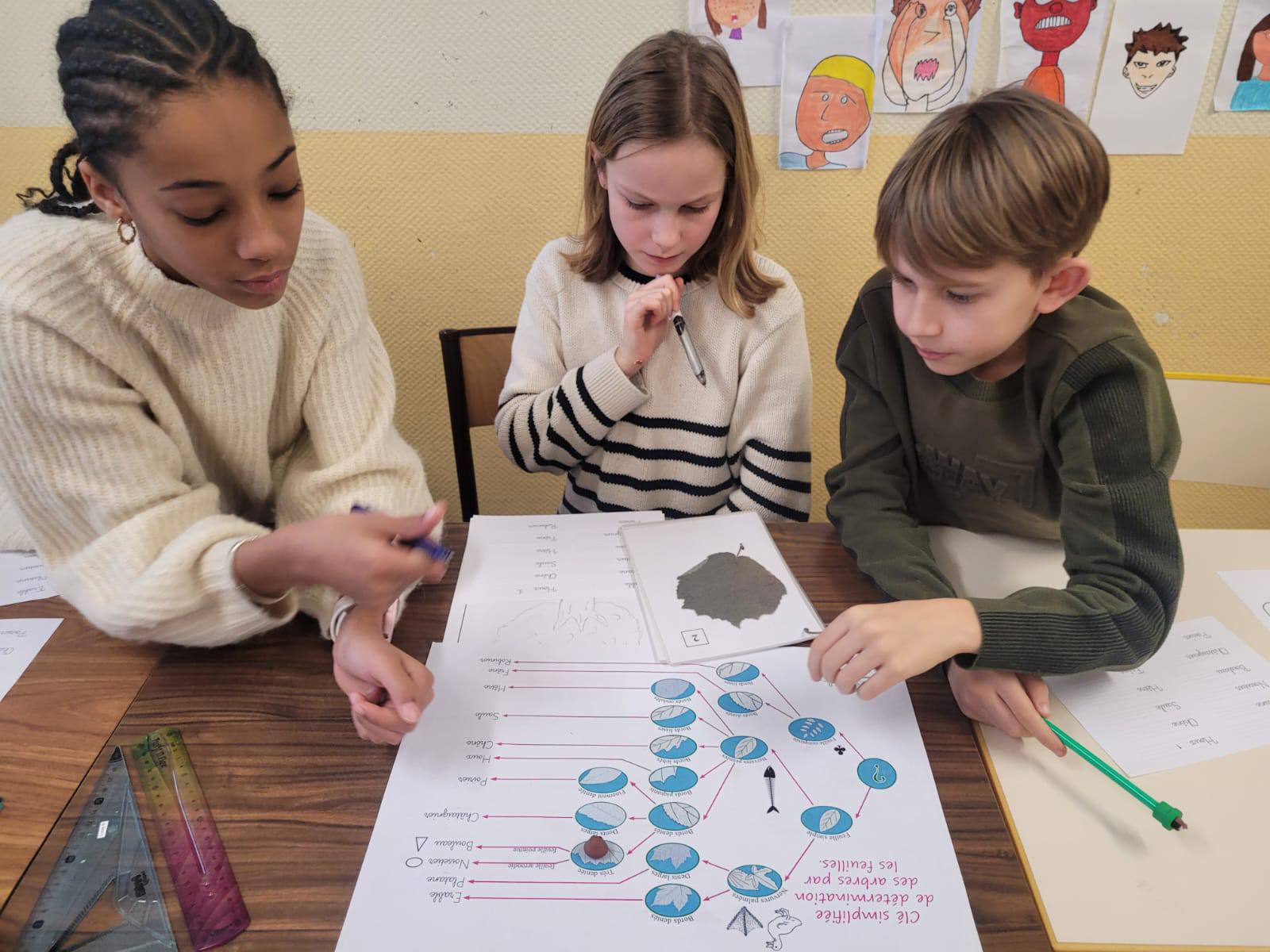 625555410 1486138066845983 3520777425927114060 n